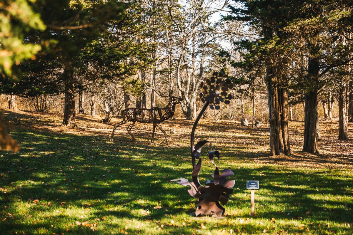 Sculpture Garden in Tiverton