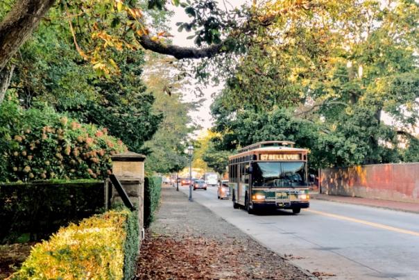 Copy of Bellevue Trolley