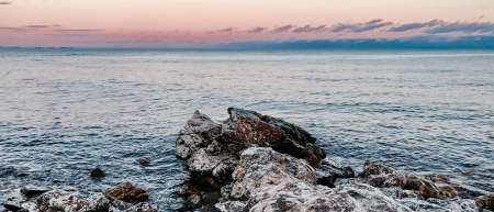 about employment opportunities