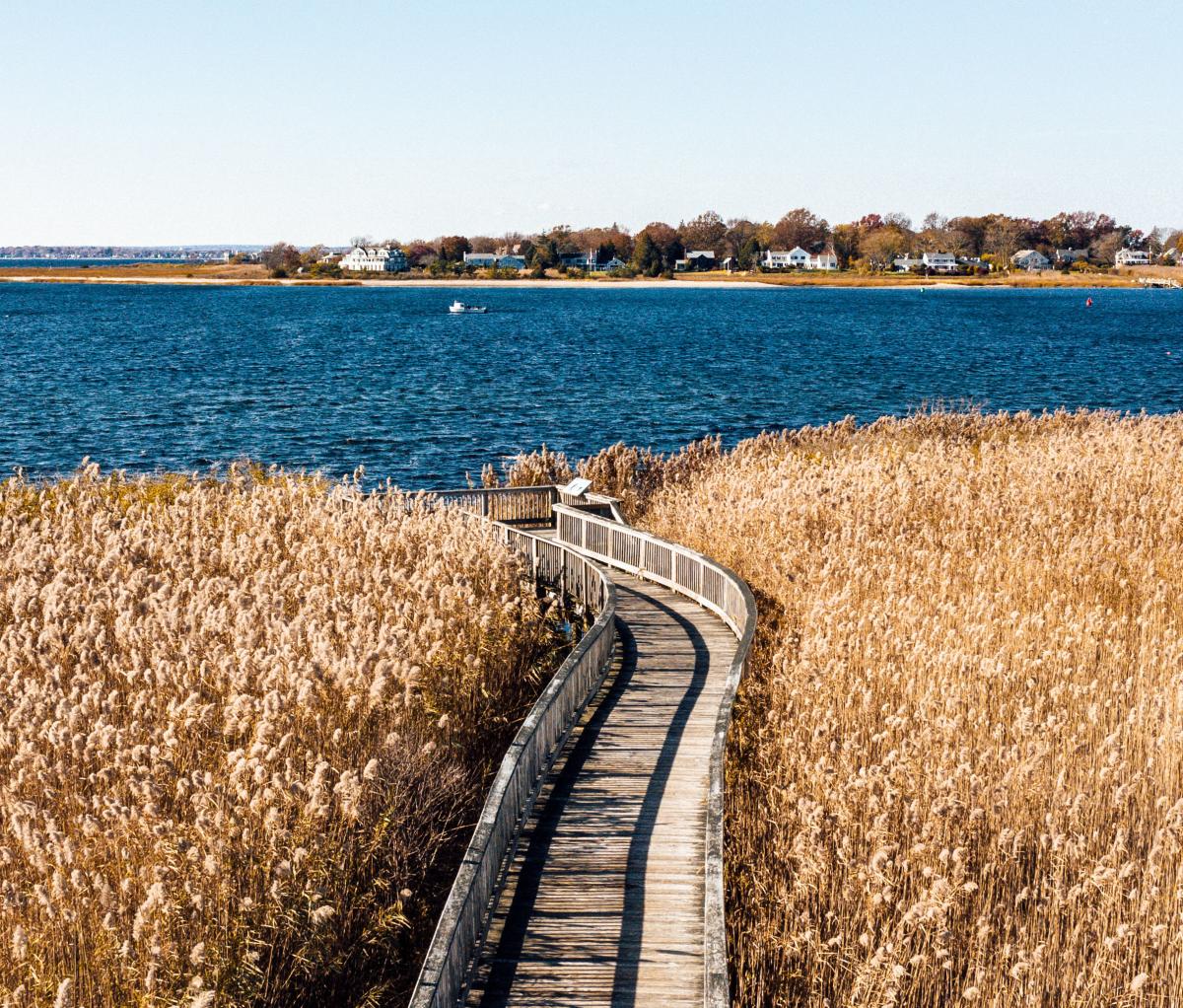 Hiking Path That Winds Through Vegetation To The Sea In Newport