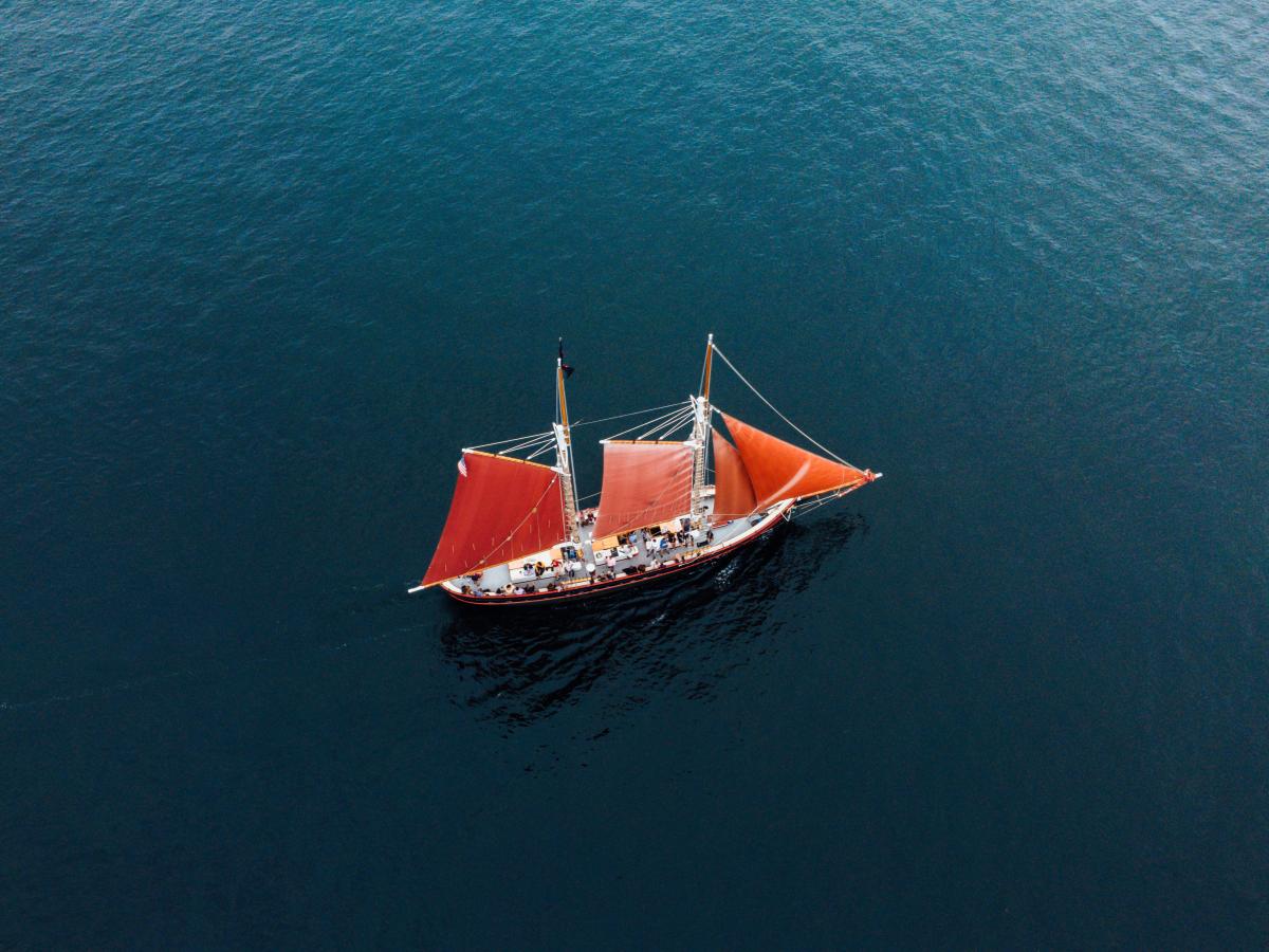 Aurora Sailing in the Harbor