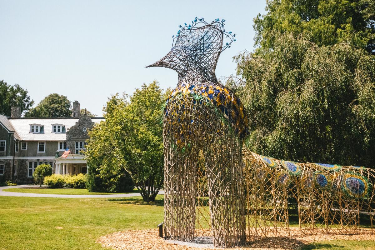 Big Birds at Blithewold