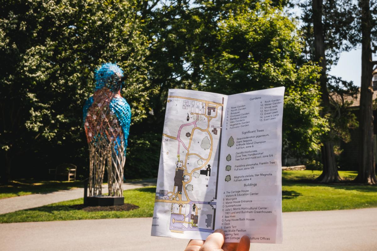 Big Birds Blithewold Map