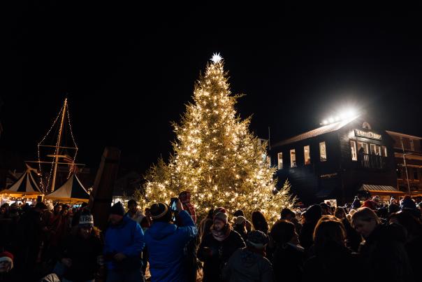 Bowens Wharf Tree Lighting