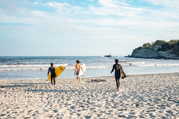 Copy of 2019 Surfing Summer