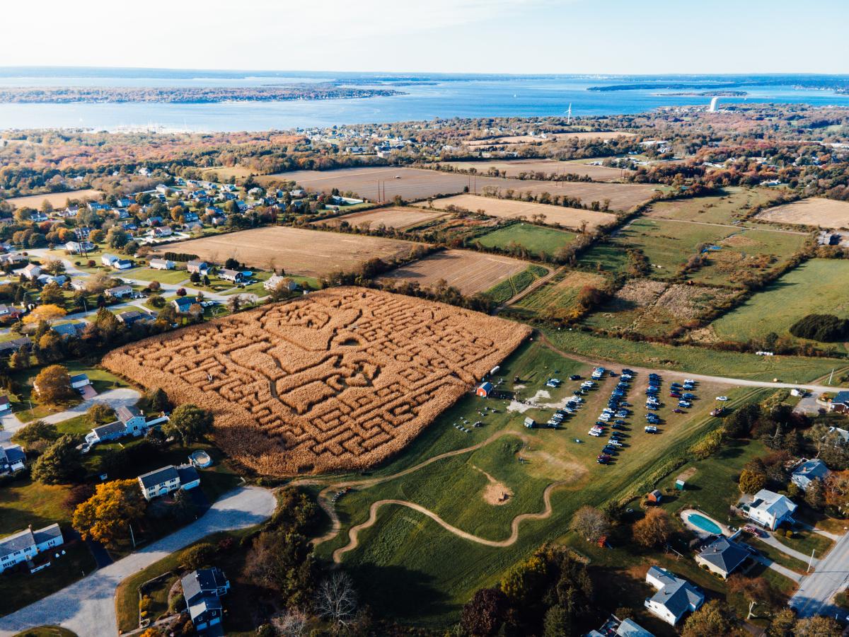 Escobars Corn Maze