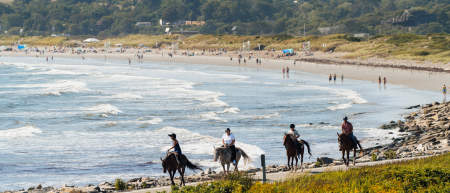 Horseback Riding Hero Image