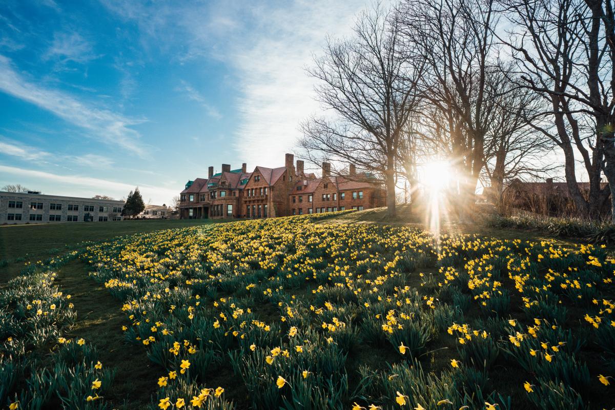 Newport Daffodil Days