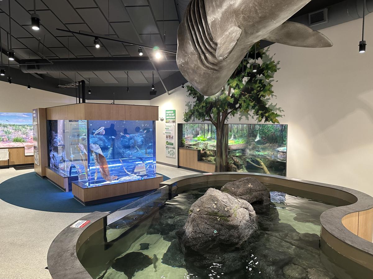 Save The Bay Aquarium