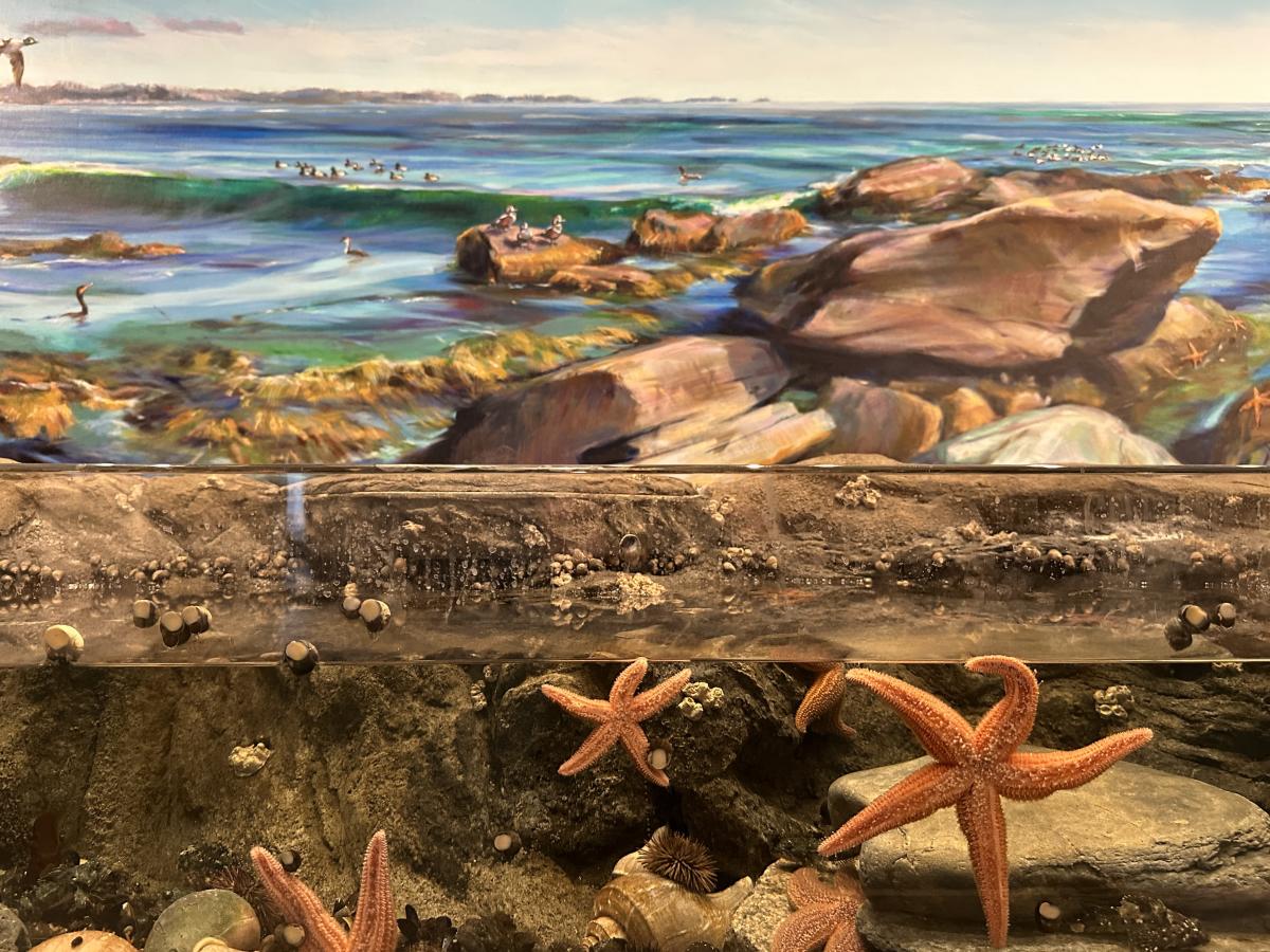 Save The Bay Aquarium