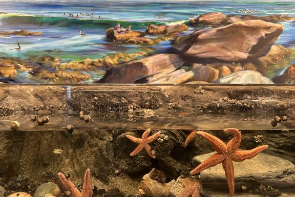 Save The Bay Aquarium