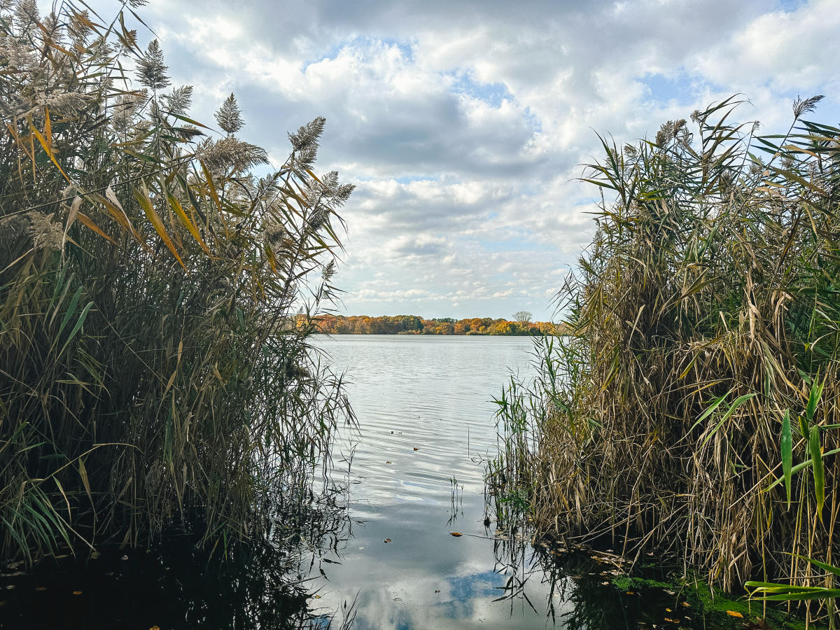 Brickyard Pond Veterans Memorial Park Barrington