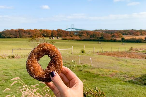 Hard-pressed Cider Company