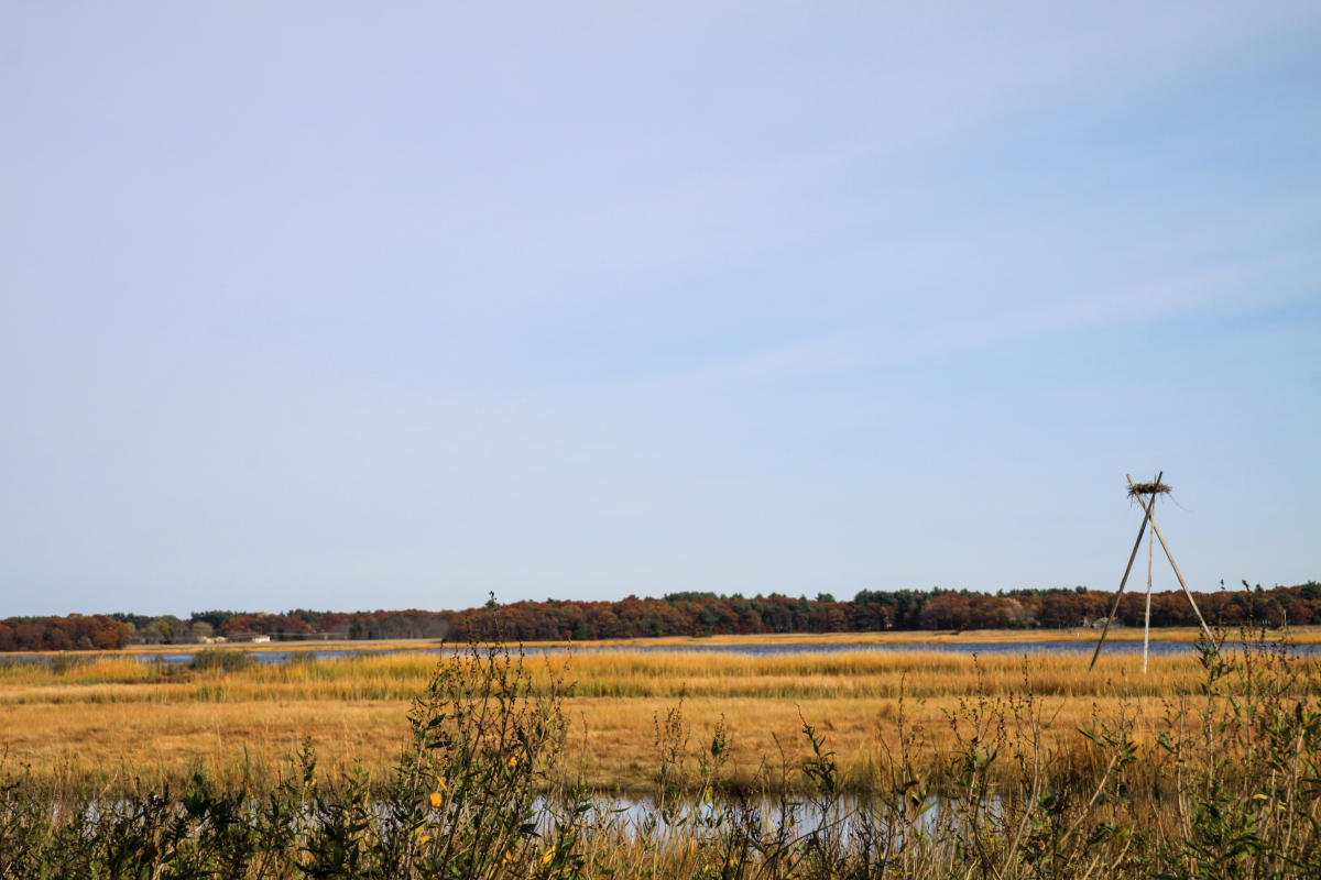 Osamequin Nature Trails