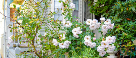 visitor info real estate