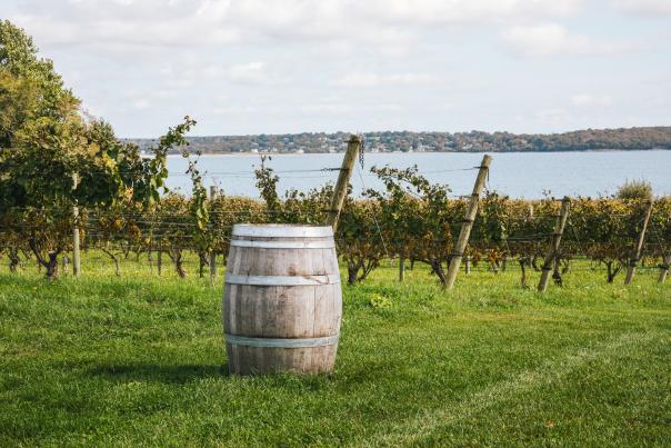 Greenvale Vineyards Portsmouth