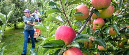 Pick Your Own Hero Image