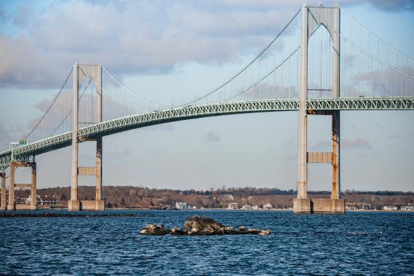 Seal Watch Tours Save the Bay 2020