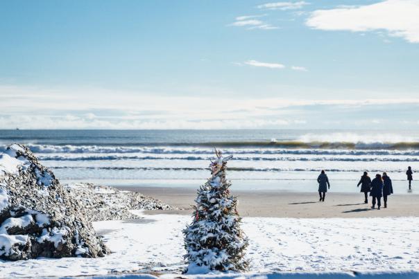 Second Beach Christmas Tree