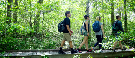 thing to do hiking and walking