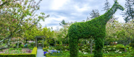 visitor info portsmouth