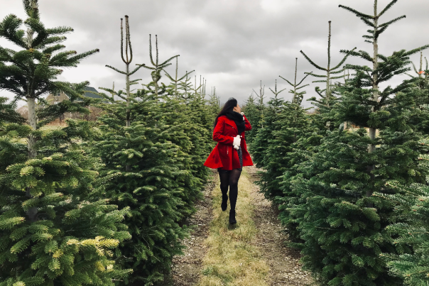 Christmas Tree Running_resized