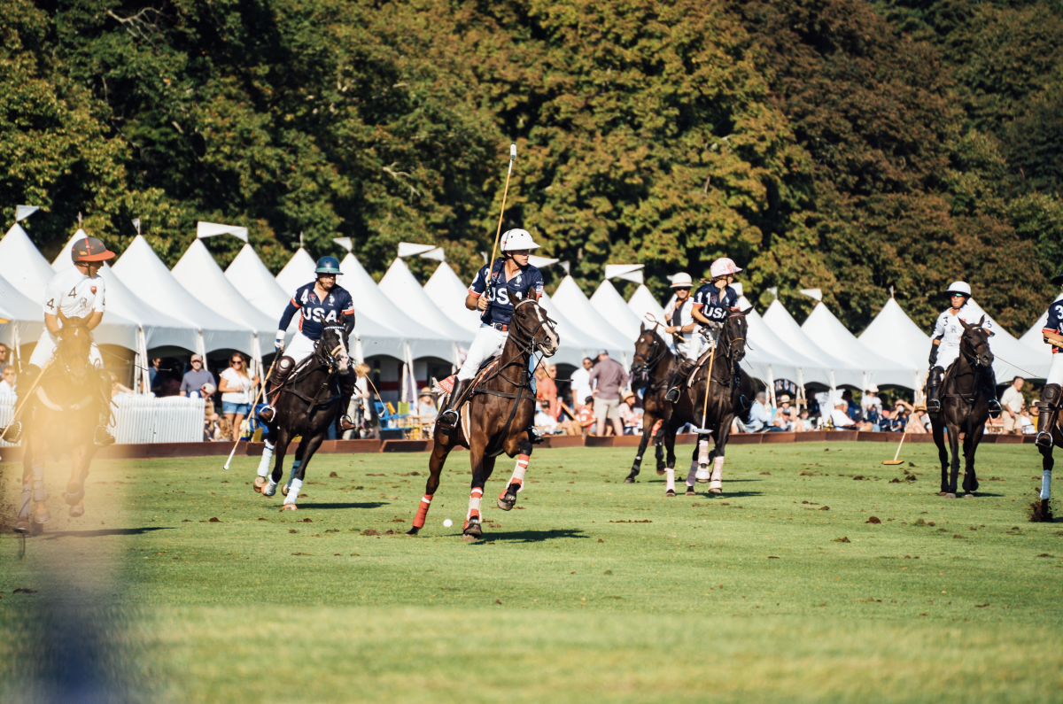 Newport Polo