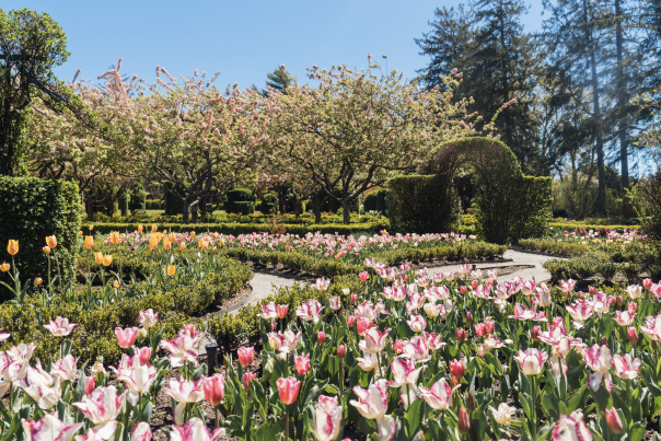 Green Animals Topiary Garden